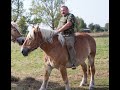 Pojenie koni u kubali ciekawy pomys bogdana na poido na polu rolnik z podlasia borowskie cibory