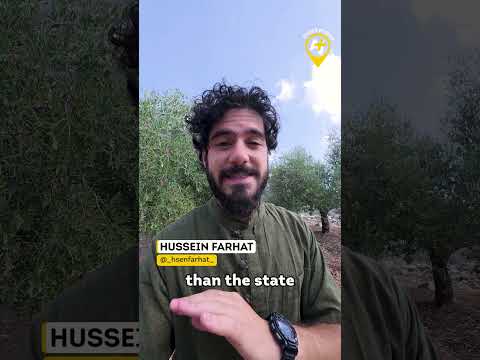 Why Southern Lebanon’s Olive Trees Matter