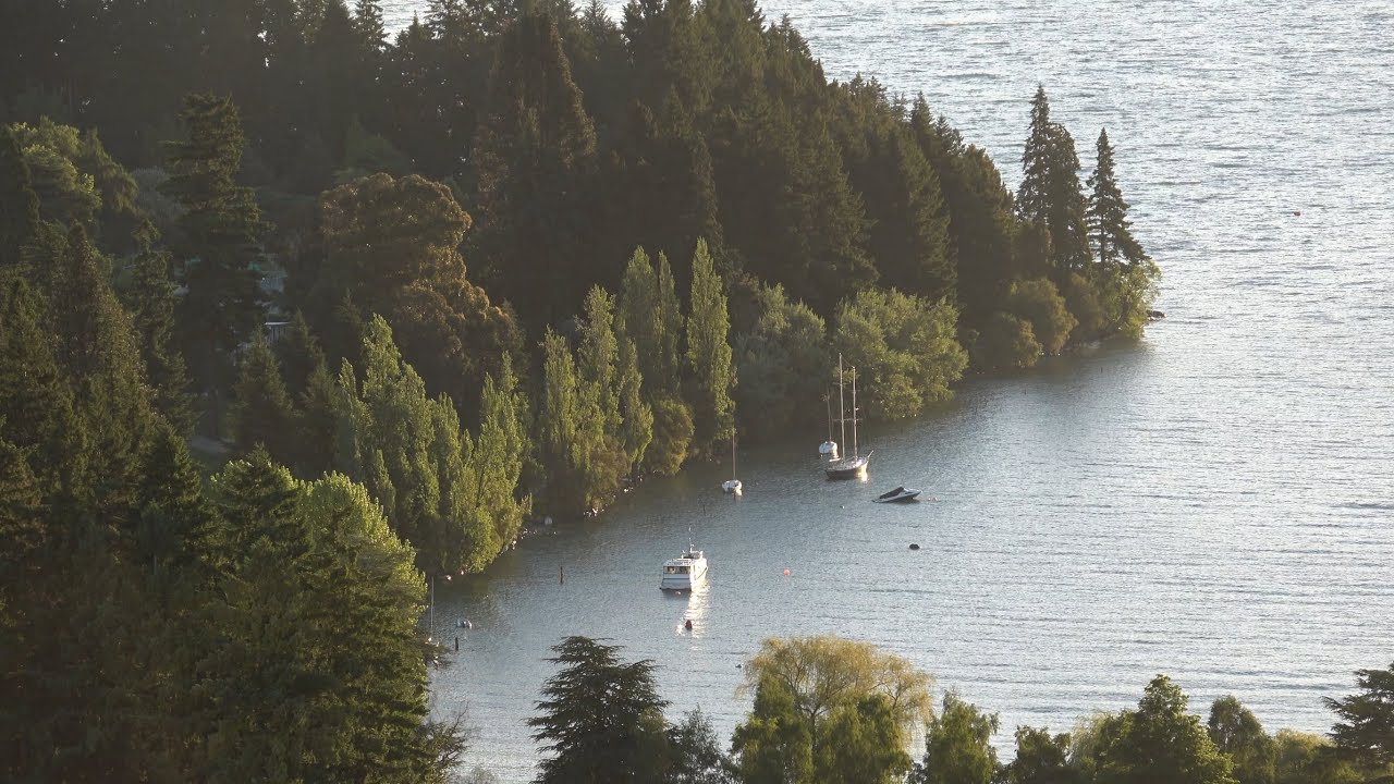 Дневники Квинстауна | Свадьба моей сестры