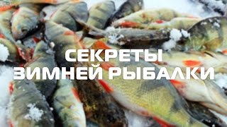 Секреты зимней рыбалки