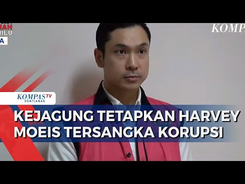 Suami Sandra Dewi Harvey Moeis Tersangka Korupsi, Diduga Akomodasi Tambang Timah Liar
