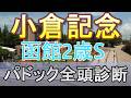 【JRAライブ】競馬記者が全レースのパドックを解説【小倉記念 函館2歳ステークス 2026】