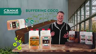 Masterclass #Perché10 - CANNA COCO non ha Vega e Flores? Il segreto del sistema COCO A+B spiegato