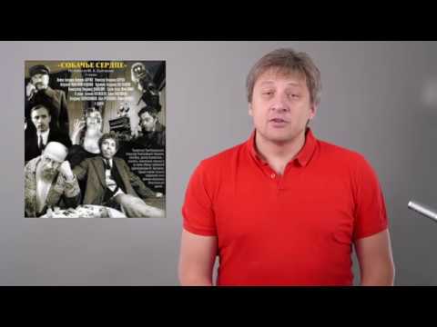 "Собачье сердце" - Режиссерский разбор
