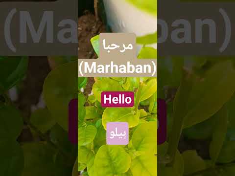          مرحبا      