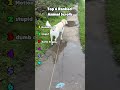 RANKING P17 - #RankingList #TrendingVideos #FunnyClips #DailyContent #shorts