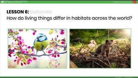 mySci Unit 9 Lesson 6 Summary