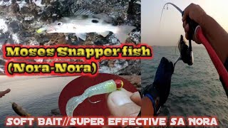 Utralight fishing// gamit ang Soft Bait//Super effective sa nora(moses snapper) screenshot 1