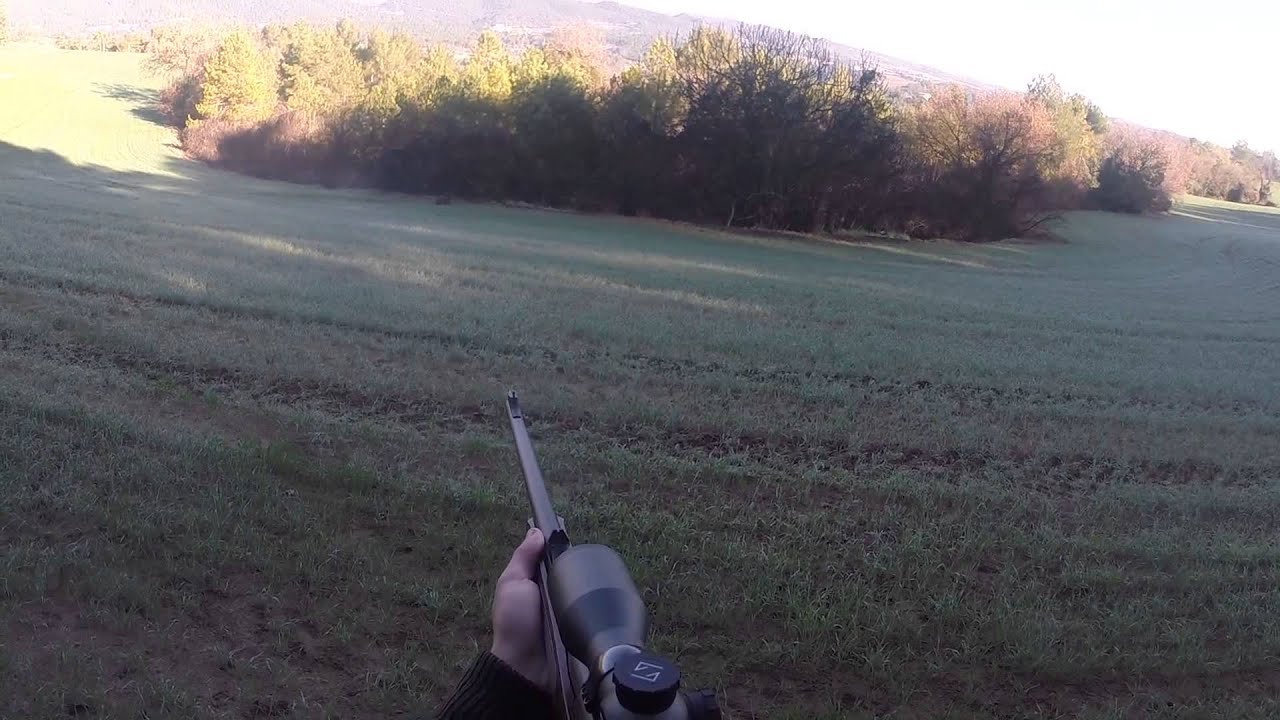 Lance a jabalí en batida YouTube Lance a jabalí en batida YouTube