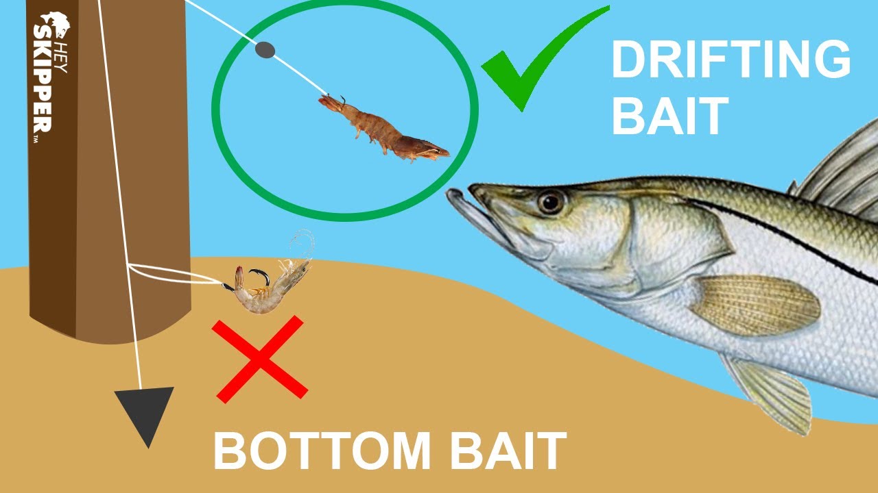 Dock Fishing 101: How to Rig, Bait, and Catch Fish Off a Dock