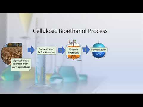 Video: Teknologisk økonomisk Potensial For Bioetanol Fra Bambus I Kina