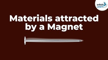 Fun with Magnets - Materials attracted by a Magnet? | Don