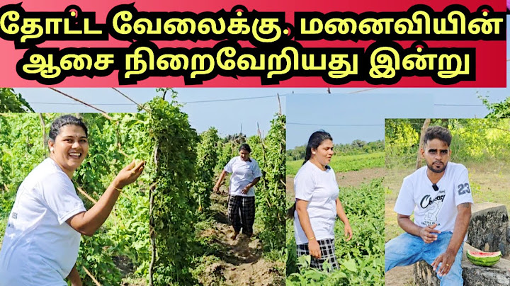 After a long time, the desire of a perfectionist seminar |JSPwatching |Srilanka Tamil vlog.