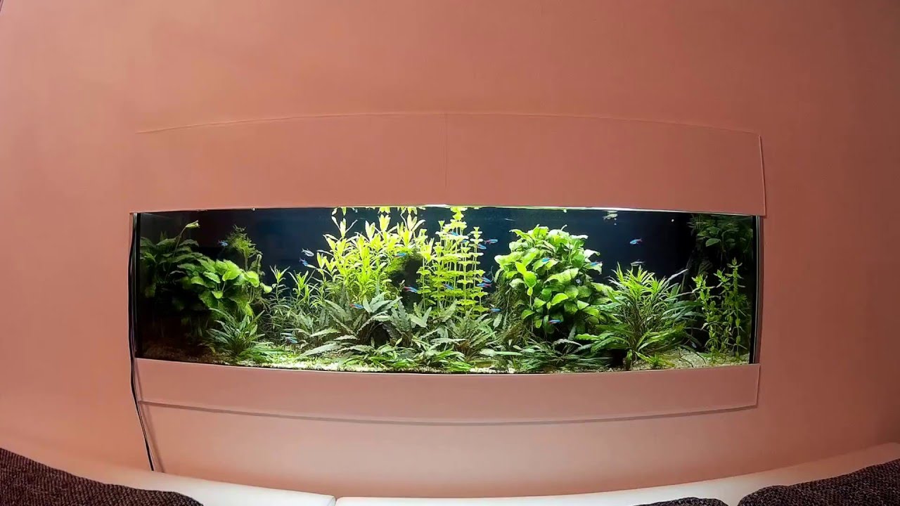 Drobné změny v rostlinném akváriu