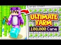 BEST MONEY MAKING FARM IS *BROKEN* on NEW SKYBLOCK SERVER! | New Minecraft SKYBLOCK SERVER