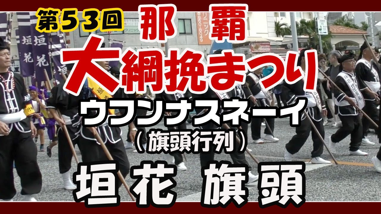 特選株 短棘 狂棘 鬼棘 天平丸 ② 塊根植物園SL's caudex