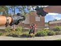 Bodycam Shows Police Shooting During Hostage Situation in Salt Lake City, Utah
