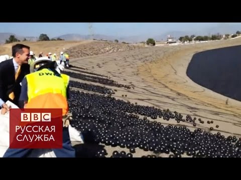 В Лос-Анджелесе спасают