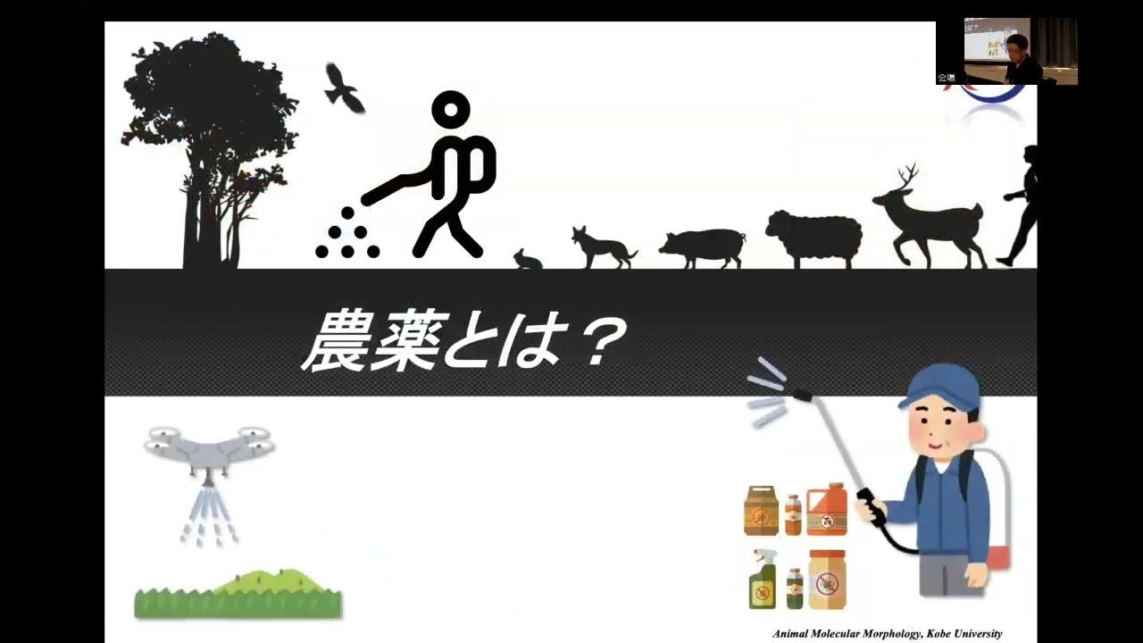 20230709 ネオニコチノイド系農薬最新研究&農薬再評価の問題点 YouTube