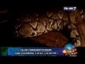 On The Spot Trans 7 7 Ular Terbesar Di Dunia