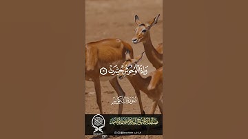 سورة التكوير .( إِذَا الشَّمْسُ كُوِّرَتْ )