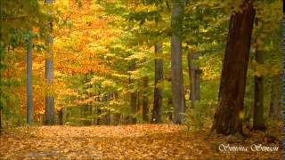 Laura Fygi - Autumn Leaves