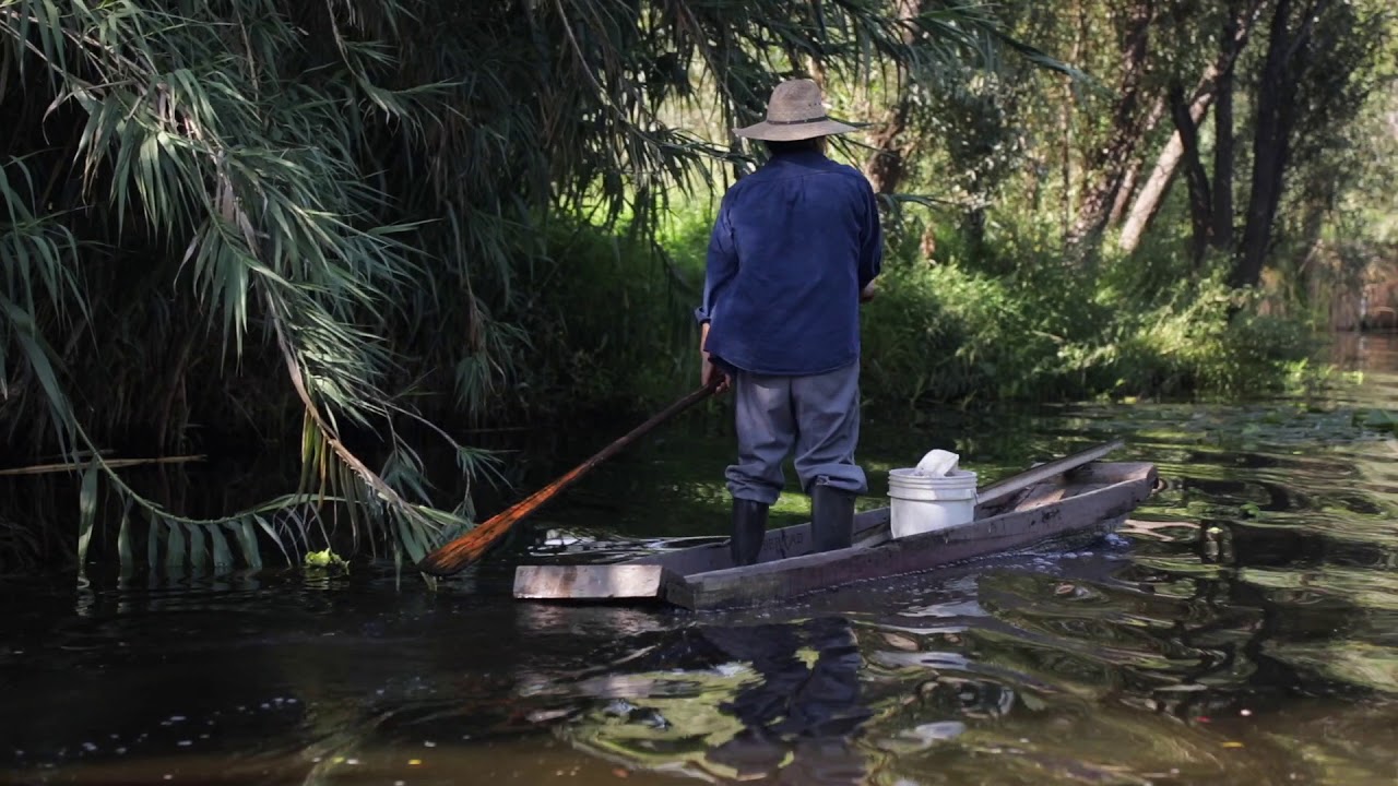 travel filmmaking jobs Authentic Xochimilco in Mexico City