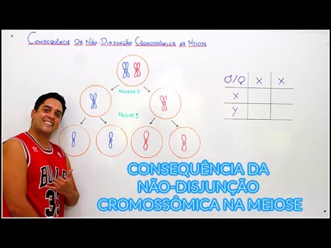 Vídeo: Quando ocorre a não disjunção dos cromossomos?