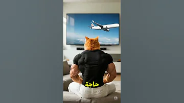 القط اليوم حط سم في العصير 