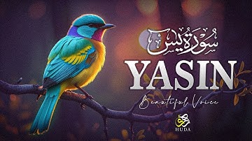 Beautiful Surah Yasin ( Yaseen ) سورة يس | Relaxing heart touching voice | Ep.003 | Huda Voice