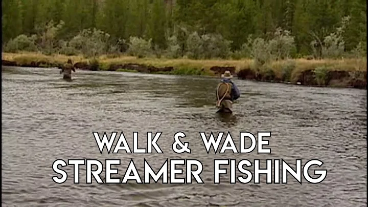 Walk & Wade Streamer Fishing for Trout | Madison R...