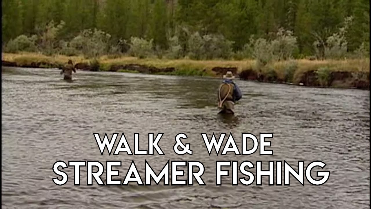 Walk & Wade Streamer Fishing for Trout