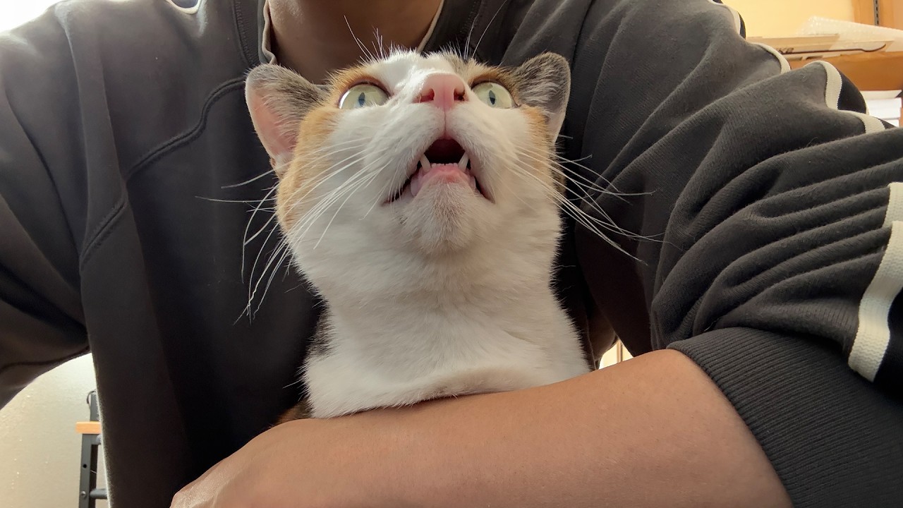 近況報告とお知らせ