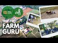An educational trip to farm guru  elite global school