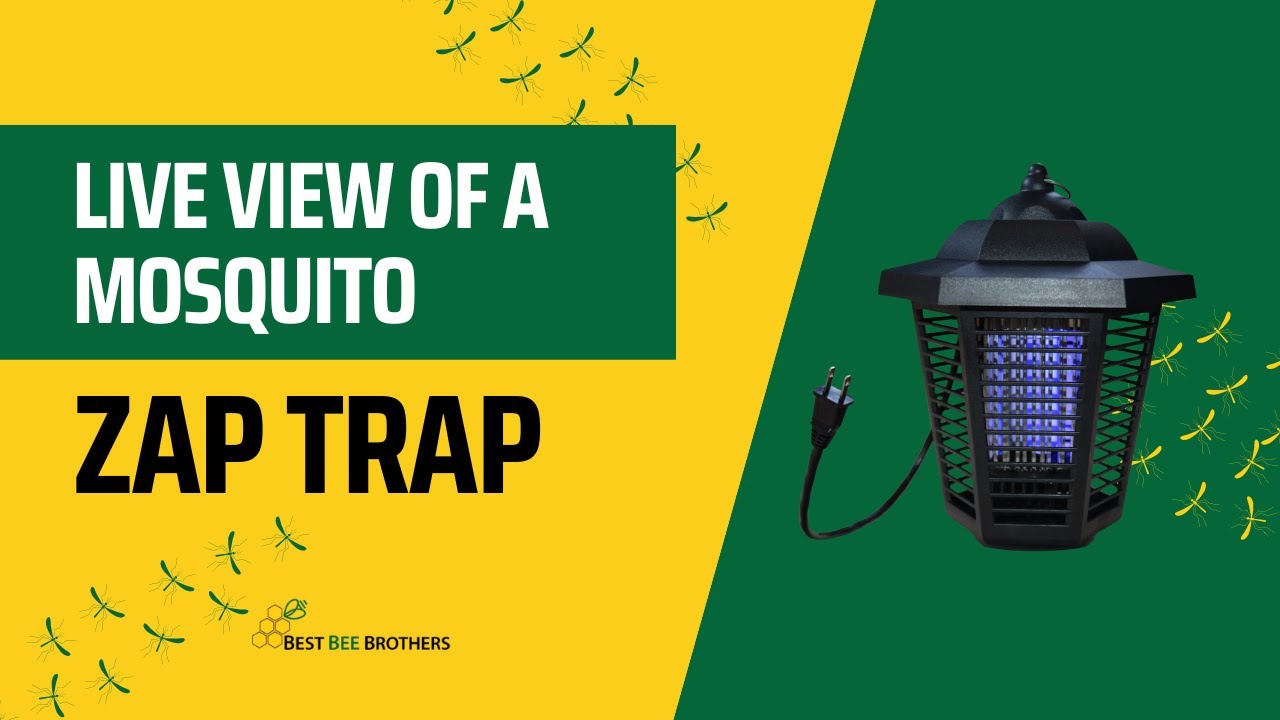 Best Mosquito Traps and Bug Zappers Pest and Bug Control