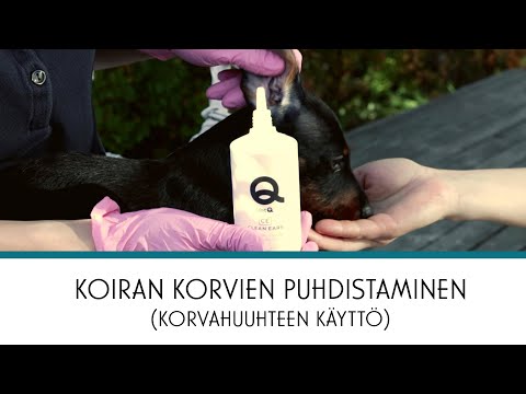 Video: Kuinka hoitaa koiran nilkkarunko