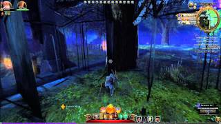 D&D Neverwinter Glitch - Inside Neverdeath Graveyard Wall