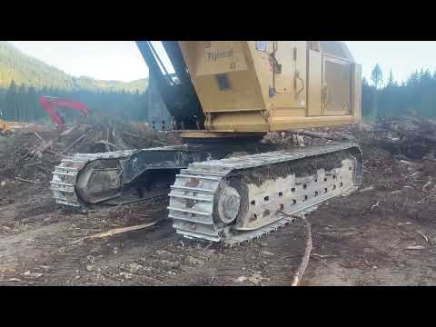 Logging Job 10
