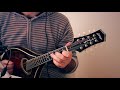 Irish mandolin tunes from galway to dublin