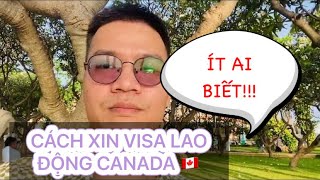 🇨🇦XUẤT KHẨU LAO ĐỘNG CANADA, CÁCH RẺ NHẤT #60