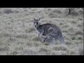 oldfields hut  15 Sept 2018