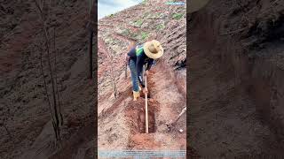 Soil Secrets How White Lime Transforms Mountain Farming