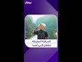 السياحة المفرطة تنتقل إلى آسيا السياحة المفرطة تنتقل إلى آسيا