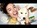 EATING CHALLENGE w/ MY PUPPY!!