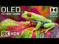 8K HDR Dolby Vision TV Test | Ultimate Demo at 60FPS for 4K &amp; 8K TVs