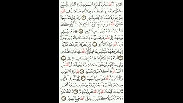 Surah luqman full HD by Sheikh Afif Mohammed Taj| سورة لقمان كاملة بصوت عفيف محمد تاج