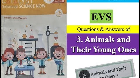 3. Animals & their young ones, EVS Class 4, Question & answers @trickstocrack
