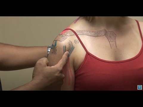 Shoulder Examination