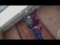 Slav Proud Mp3