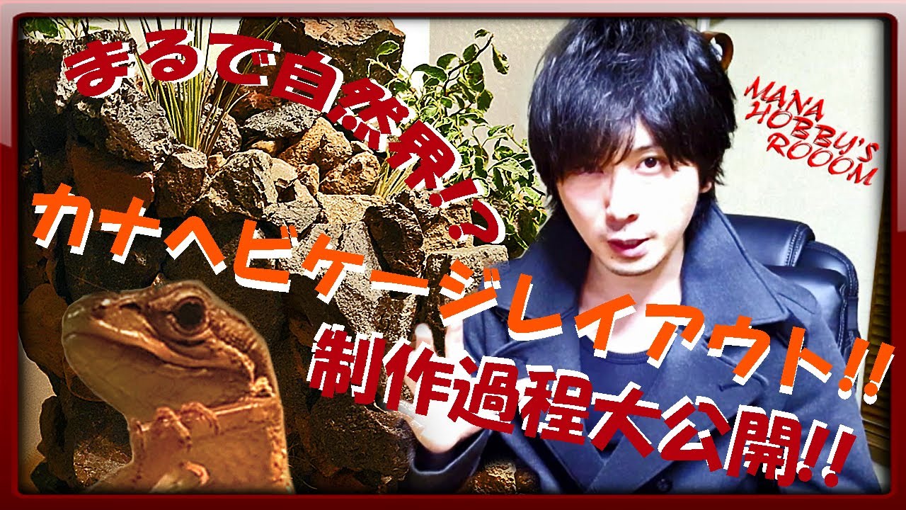 アクアリウムテラリウム カナヘビケージレイアウト制作 Part1 制作工程大公開 滝 川の流れるアクアテラリウムレイアウトを作ろう Youtube